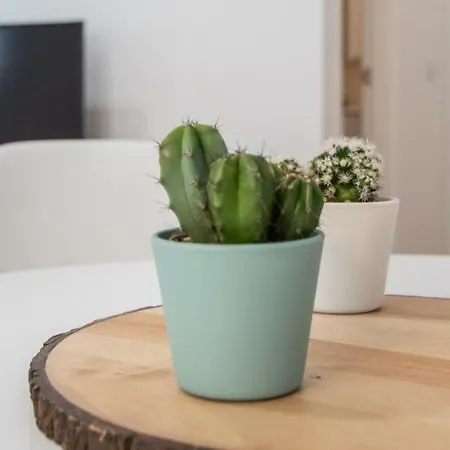 Apartamento La Goleta *