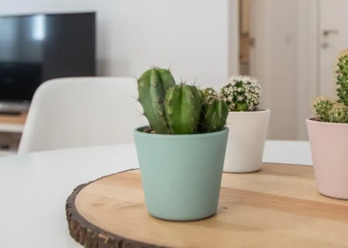 Apartamento La Goleta *