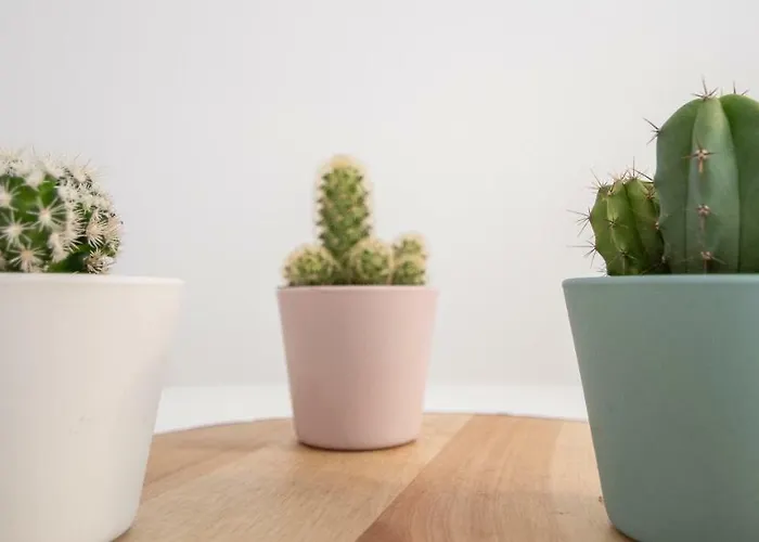 Appartement La Goleta